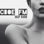 Свое ФМ (Svoe FM)